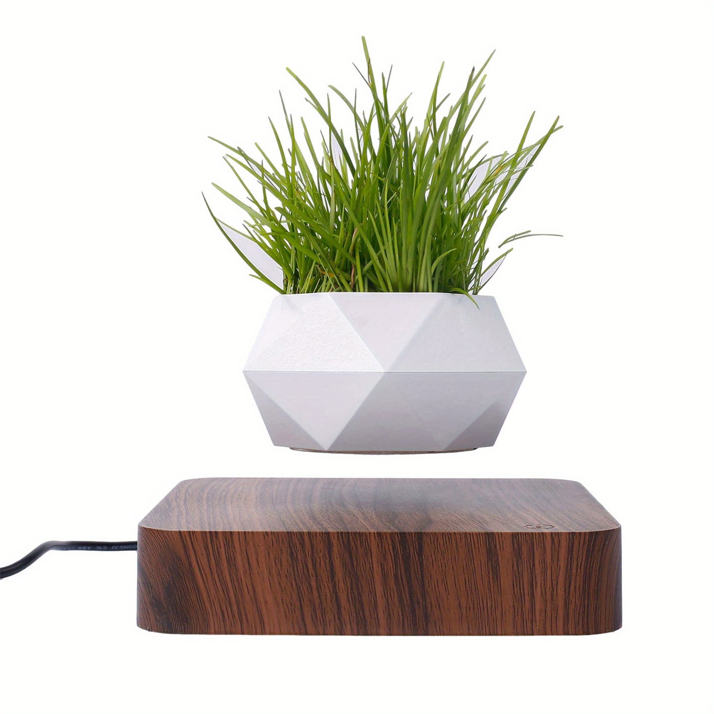 Magnetic Floating Flower Pot